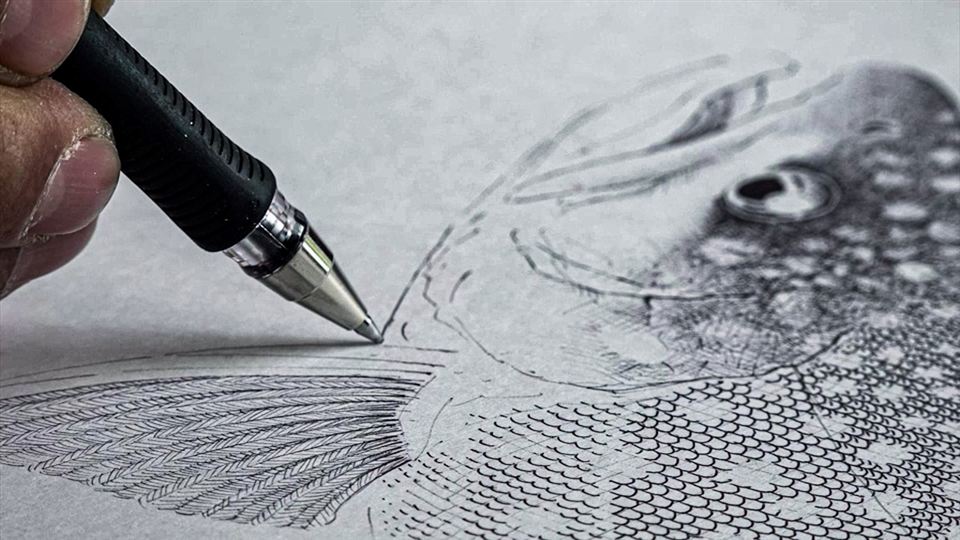 ボールペンで魚を描く手元